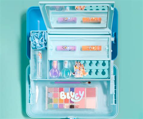 Makeup Kit Caboodle