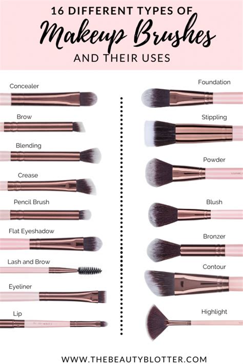 Makeup Tools And Their Uses