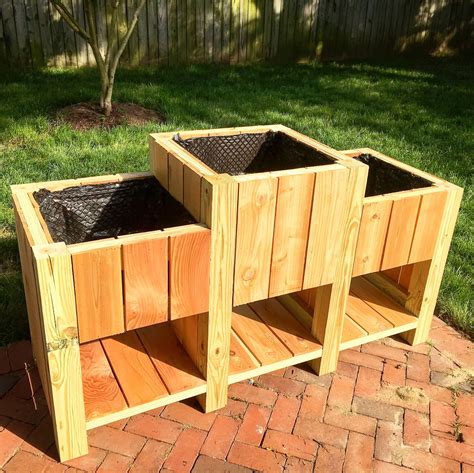 Building a planter box and planting fruits and veggies Shirley