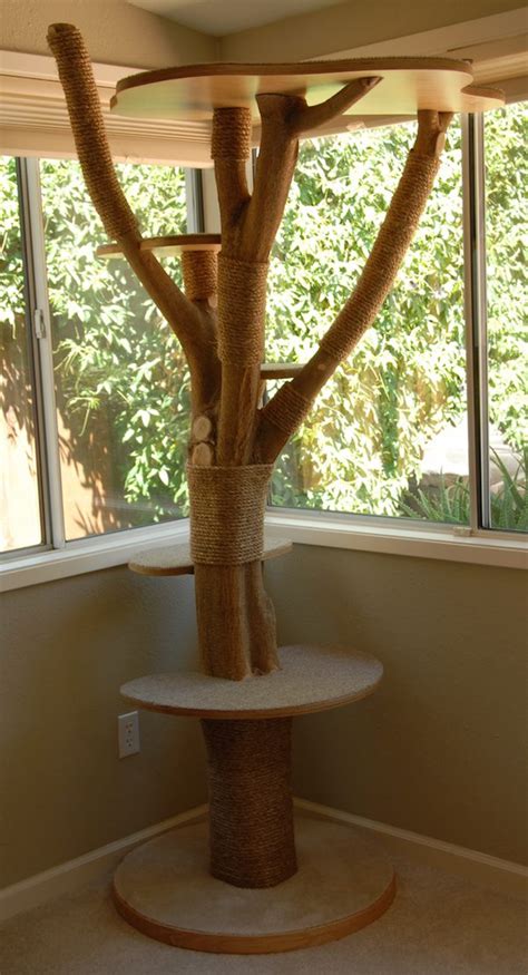 Making A Cat Tree With A Real Tree