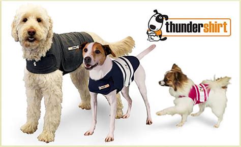 Making A Thundershirt For Dogs