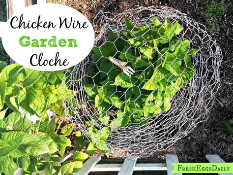 Making Chicken Wire Cloches