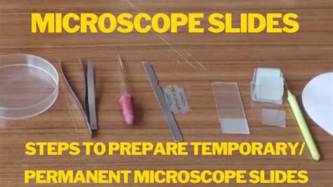 Making Slides For Microscope