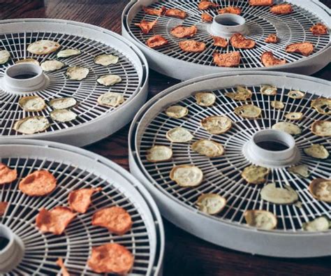 Making Vegetable Chips In A Dehydrator