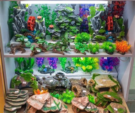 making your own fish tank
