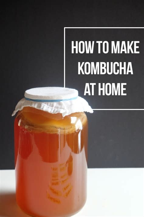 making your own kombucha at home