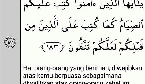 Surah Al-Baqarah Ayat 228 (2:228 Quran) With Tafsir - My Islam