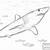 mako shark coloring sheets