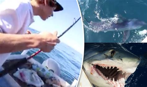 Mako Shark Attack Uk