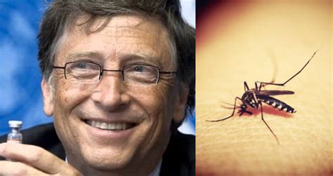 malaria bill gates opinion