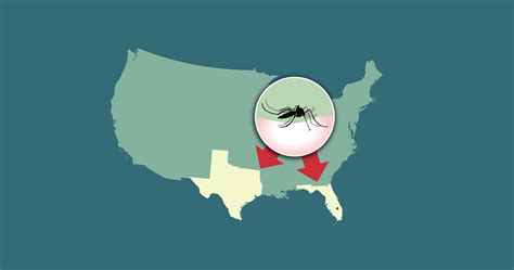 malaria outbreak florida 2023