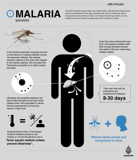 malaria symptoms cdc information