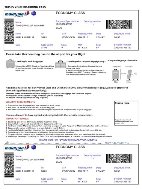 malaysia airlines ticket print