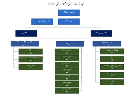 maldives e-court management system