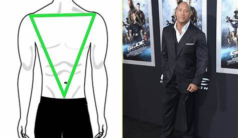 Male Celebrities With Inverted Triangle Body Shape All Of Us Are Unique And So Is Our Type. Style My