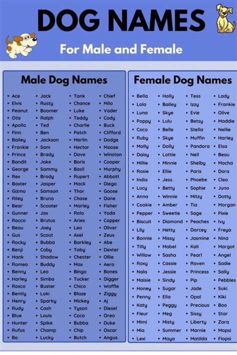 male dog names with blue eyes