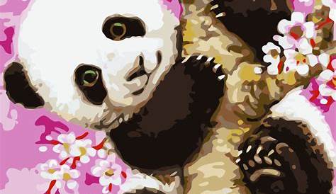 Malen nach Zahlen Panda kostenlos herunterladen