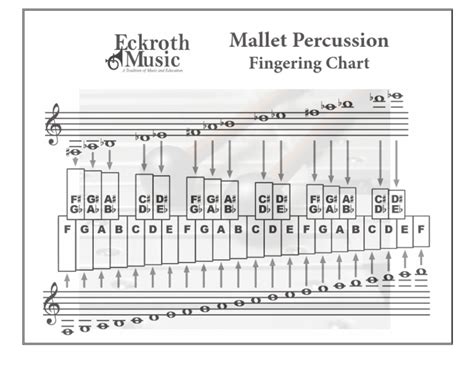 Mallet Percussion Technique