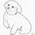 maltese puppy coloring pages