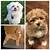 maltipoo puppies for sale in ga