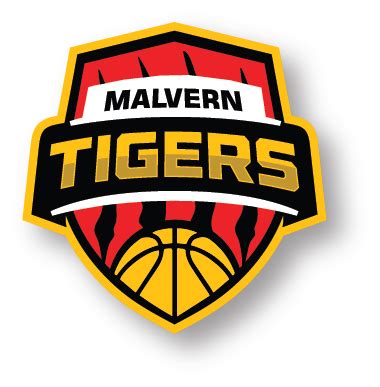 malvern tigers basketball club