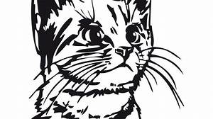 Malvorlage Katzenkopf Kostenlose Ausmalbilder Zum Ausdrucken Bild