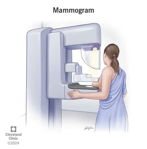 At What Age Should You Get a Mammogram: Guidelines and Recommendations
