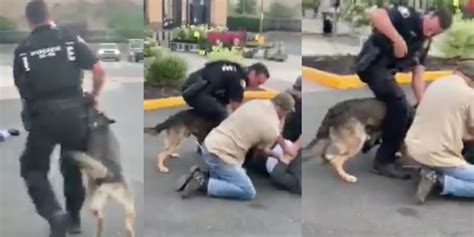 man bites dog company