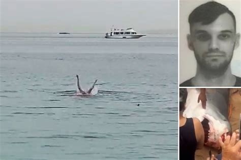 man dies from tiger shark attack