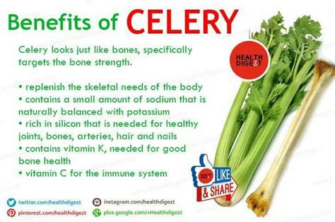 man eats celery for a year