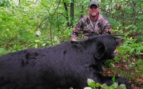 man killed by black bear