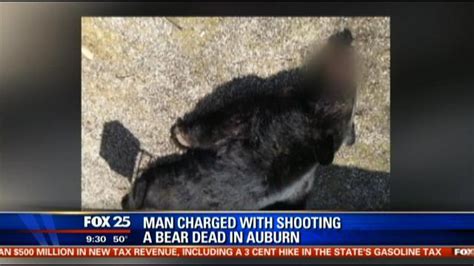 man killed in backyard by bear