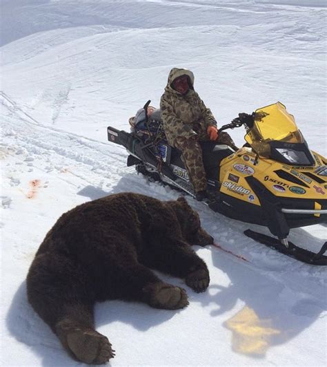 man mauled by bear survives