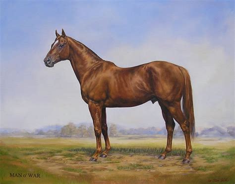 About Man O War Pferd Going Viral