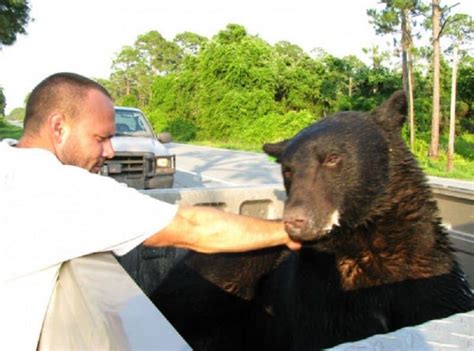 man saves black bear