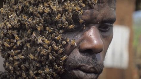 man stung to death by bees