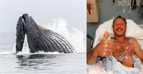 man survived trapped under whale