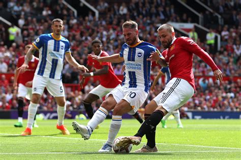 man united brighton preview