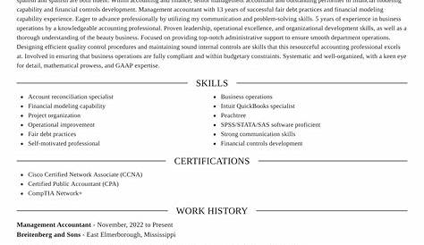 Management Accountant CV - Example & Skills (Free Download)