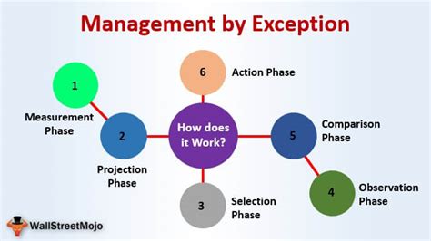 management by exception meaning class 12
