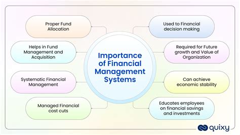 management information finance