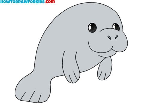 How to Draw a Manatee How to Draw Easy