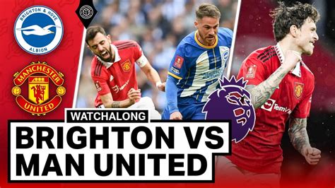 manchester united brighton streaming live