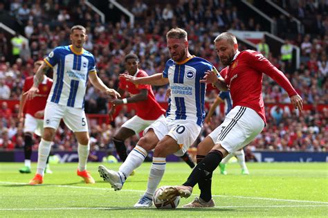 manchester united x brighton