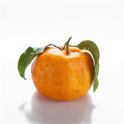 Mandarin Orange Extract