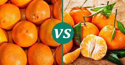 Mandarin Oranges Vs Navel Oranges