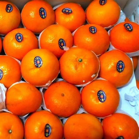 mandarin wokam