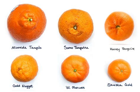 Mandarins Wikipedia