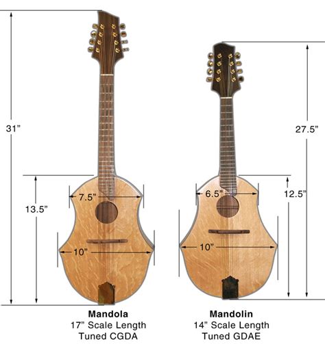 Mandola Dimensions