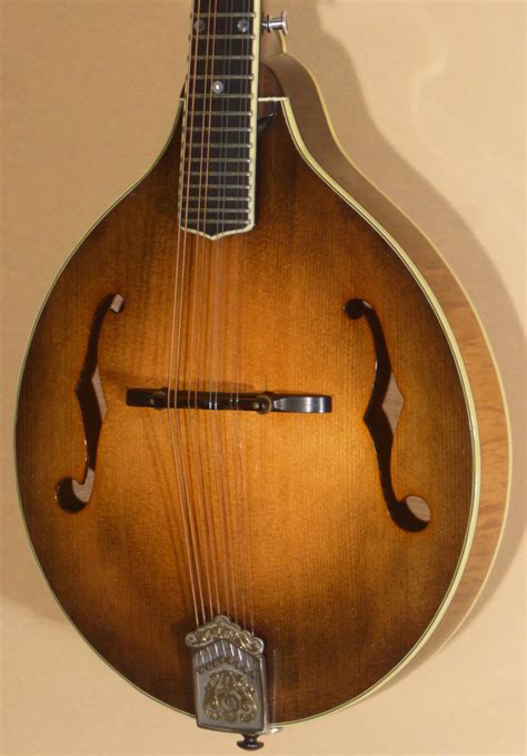 Mandolin Instruments For Sale
